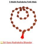 5 mukhi Rudrakha fotik mala