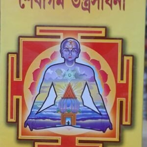 শৈবাগম তন্ত্র সাধনা / Soibagam tantra sadhana tantra mantra book