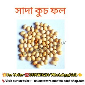 White Kuch Tantra Mantra Bosikoron Sotru Domon Bij/ সাদা কুচ ফল তন্ত্র মন্ত্র বশীকরন, শত্রু দমন বীজ