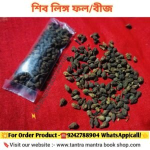 💥 Tantra Mantra Shive Lingo Phol/Bij/তন্ত্র মন্ত্র শিব লিঙ্গ ফল/বীজ