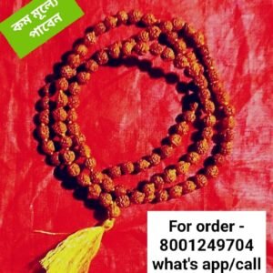 💥Gopuccho Rudraksha Jop Mala (108)/গোপুচ্ছ রুদ্রাক্ষ জপ মালা(108)