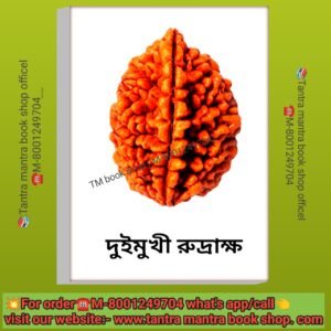 💥 Nepali 2Mukhi Original Rudraksha/নেপালি দুইমুখী রুদ্রাক্ষ