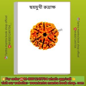 💥 Nepali 6 mukhi original rudraksha/ নেপালি ছয় মুখী রুদ্রাক্ষ