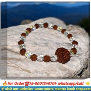 Panchamukhi Rudraksha bracelet / পঞ্চমুখী রুদ্রাক্ষ ব্রেসলেট