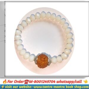 6 Mukhi Rudraksha bracelet /ছয় মুখি রুদ্রাক্ষ ব্রেসলেট