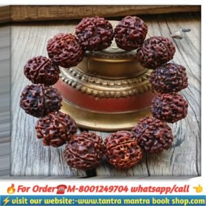 4 mukhi rudraksha breslate/ চার মুখী রুদ্রাক্ষ ব্রেসলেট