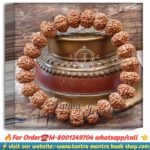 Saat Mukhi Rudraksha bracelet / সাতমুখী রুদ্রাক্ষ ব্রেসলেট