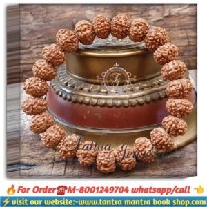 Saat Mukhi Rudraksha bracelet / সাতমুখী রুদ্রাক্ষ ব্রেসলেট