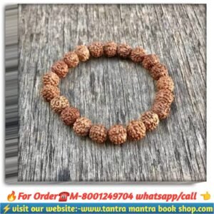 5 mukhi rudraksha breslate / পাঁচ মুখী রুদ্রাক্ষ ব্রেসলেট