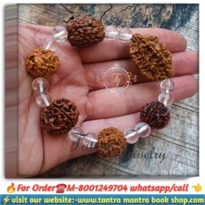 5 mukhi multiple2,3,4,5,6 Rudraksha bracelet / পাঁচ মুখী মাল্টিপল রুদ্রাক্ষ ব্রেসলেট