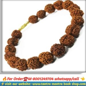 5 mukhi rudraksha breslate / পাঁচ মুখী রুদ্রাক্ষ ব্রেসলেট
