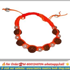 5 mukhi rudraksha breslate / পাঁচ মুখী রুদ্রাক্ষ ব্রেসলেট